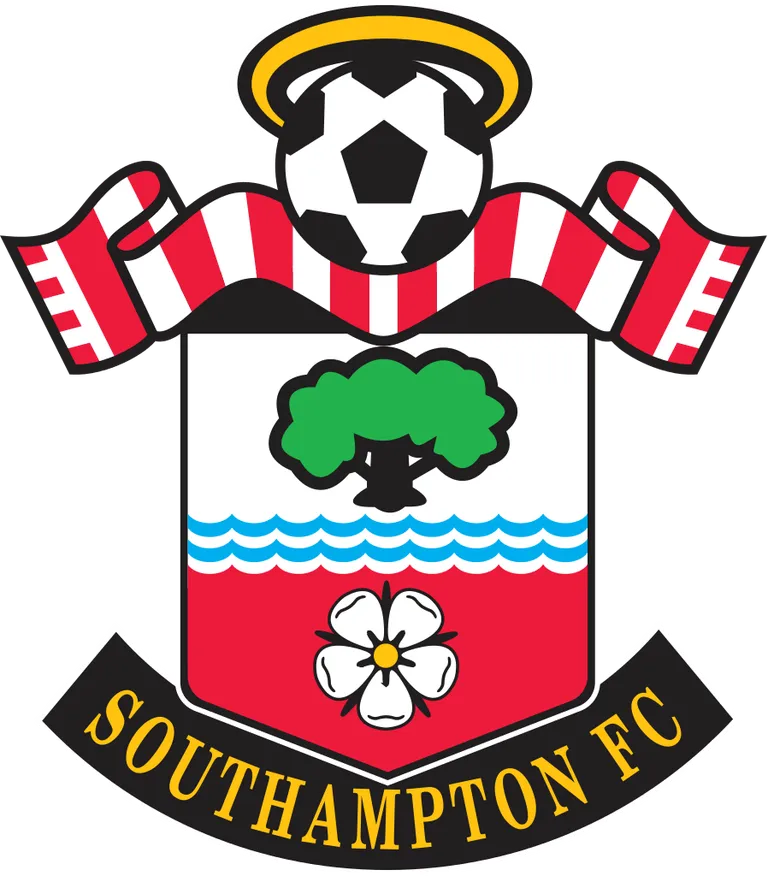 Southampton : la merveille de Boufal