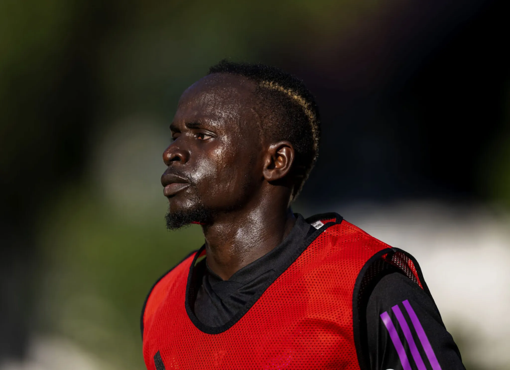 Al-Duhail &ndash; Al-Nassr : date, cha&icirc;ne et heure du match