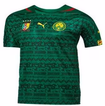 CM 2014 : le Cameroun habill&eacute; pour le Br&eacute;sil