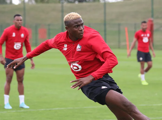 Lille&nbsp;: Galtier donne des nouvelles d&rsquo;Osimhen