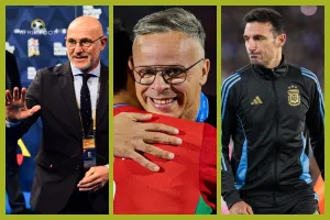 L&rsquo;actualit&eacute; du football africain