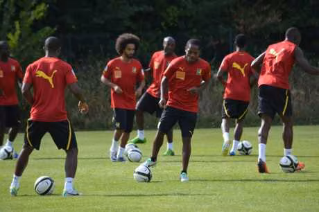 Cameroun : les Lions Indomptables se mettent au vert