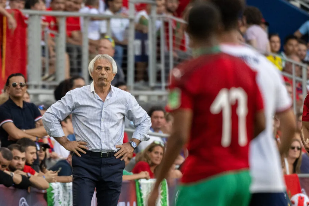 Vahid Halilhodzic, Maroc