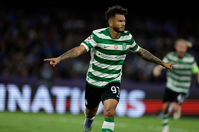 ICONSPORT 272550 0075