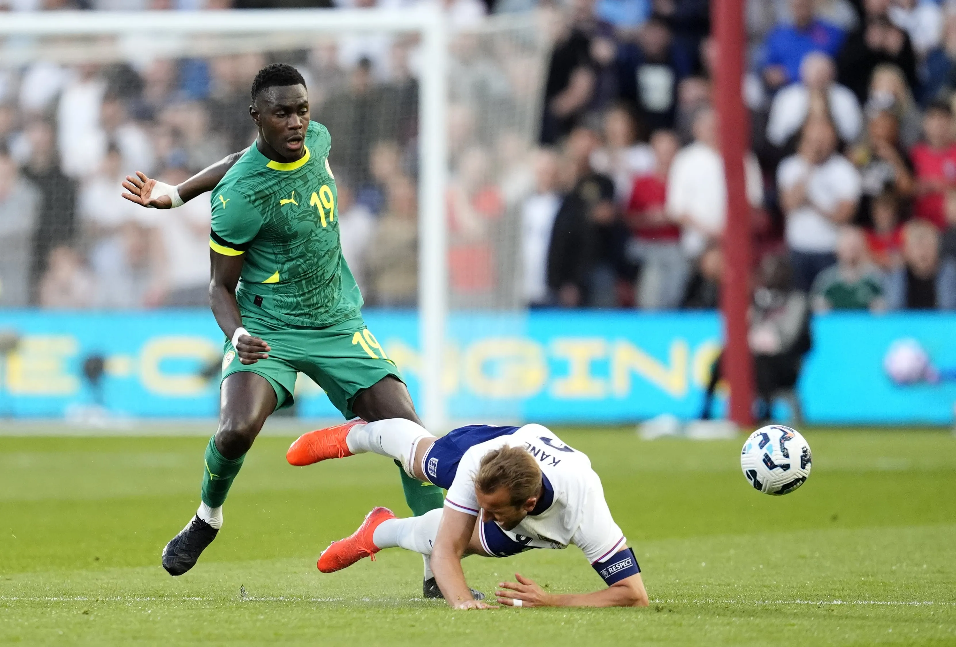 Moussa Niakhat&eacute;, Harry Kane, Angleterre, S&eacute;n&eacute;gal
