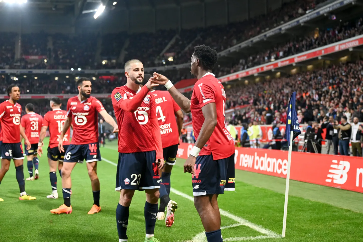 LOSC OM David Zhegrova
