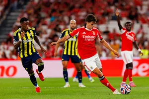 Pronostic Fenerbahçe-Benfica : 2 paris à tenter sur ce match de Champions League