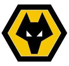 Wolverhampton : Benik Afobe reste pour de bon