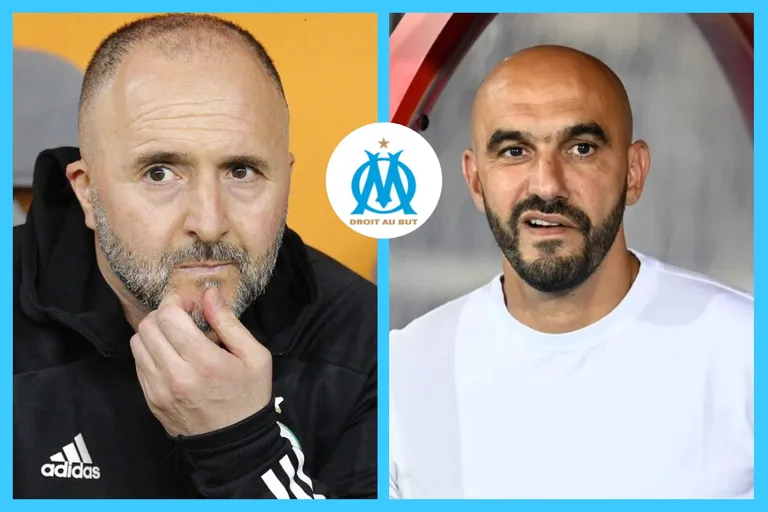 OM : l&rsquo;&eacute;ternelle rumeur Djamel Belmadi bient&ocirc;t &eacute;clips&eacute;e par&hellip; Walid Regragui ?