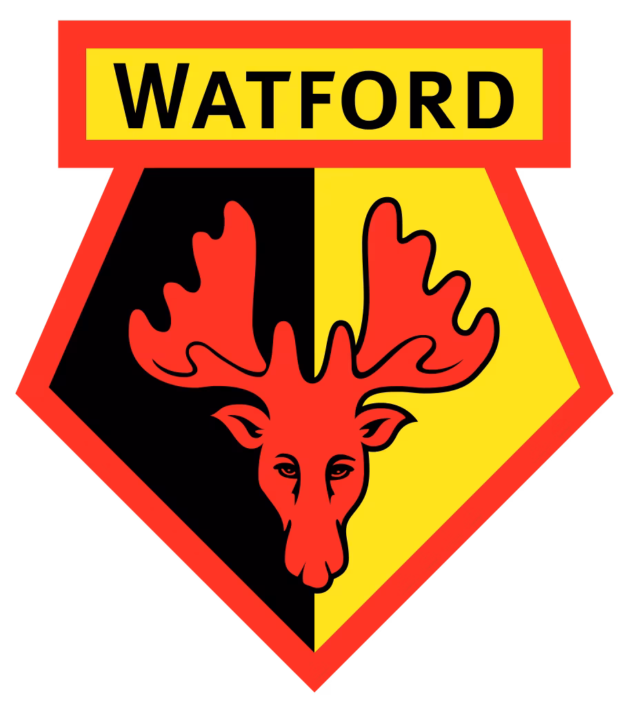 Watford :  Brice Dja Dj&eacute;dj&eacute; vers un retour en France ?