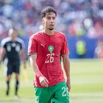 Alg&eacute;rie : le d&eacute;part de Petkovic va-t-il co&ucirc;ter beaucoup plus cher que pr&eacute;vu &agrave; la FAF ?