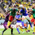 Cameroun : la folle rumeur Herv&eacute; Renard s&eacute;lectionneur de retour !