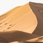 Les 12 stars africaines en fin de contrat en Arabie Saoudite en 2026