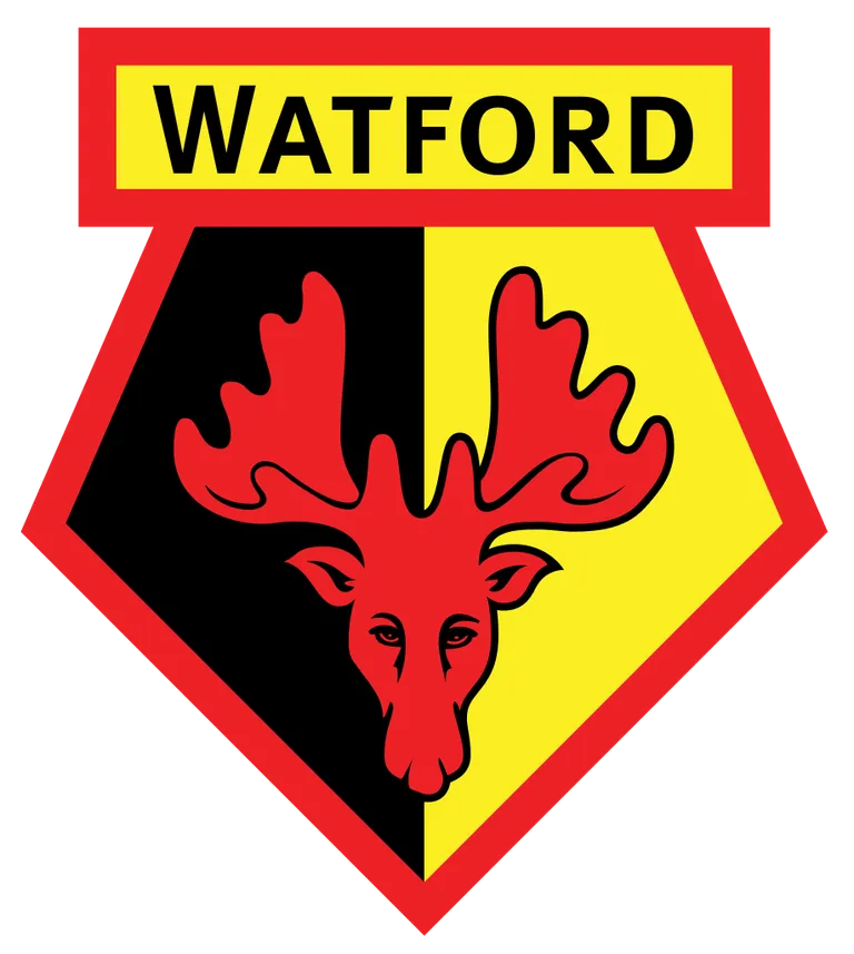 Watford : Didier Ndong de retour en Premier League !