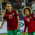 Alg&eacute;rie : une offre de prolongation soumise &agrave; Vladimir Petkovic !