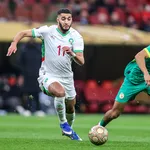 Tunisie : Franck Haise d&rsquo;accord pour venir, le minist&egrave;re bloque son arriv&eacute;e