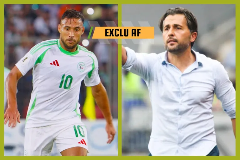 Algérie : un match contre l’Angola de Beaumelle en discussions avant la CAN [Exclu]
