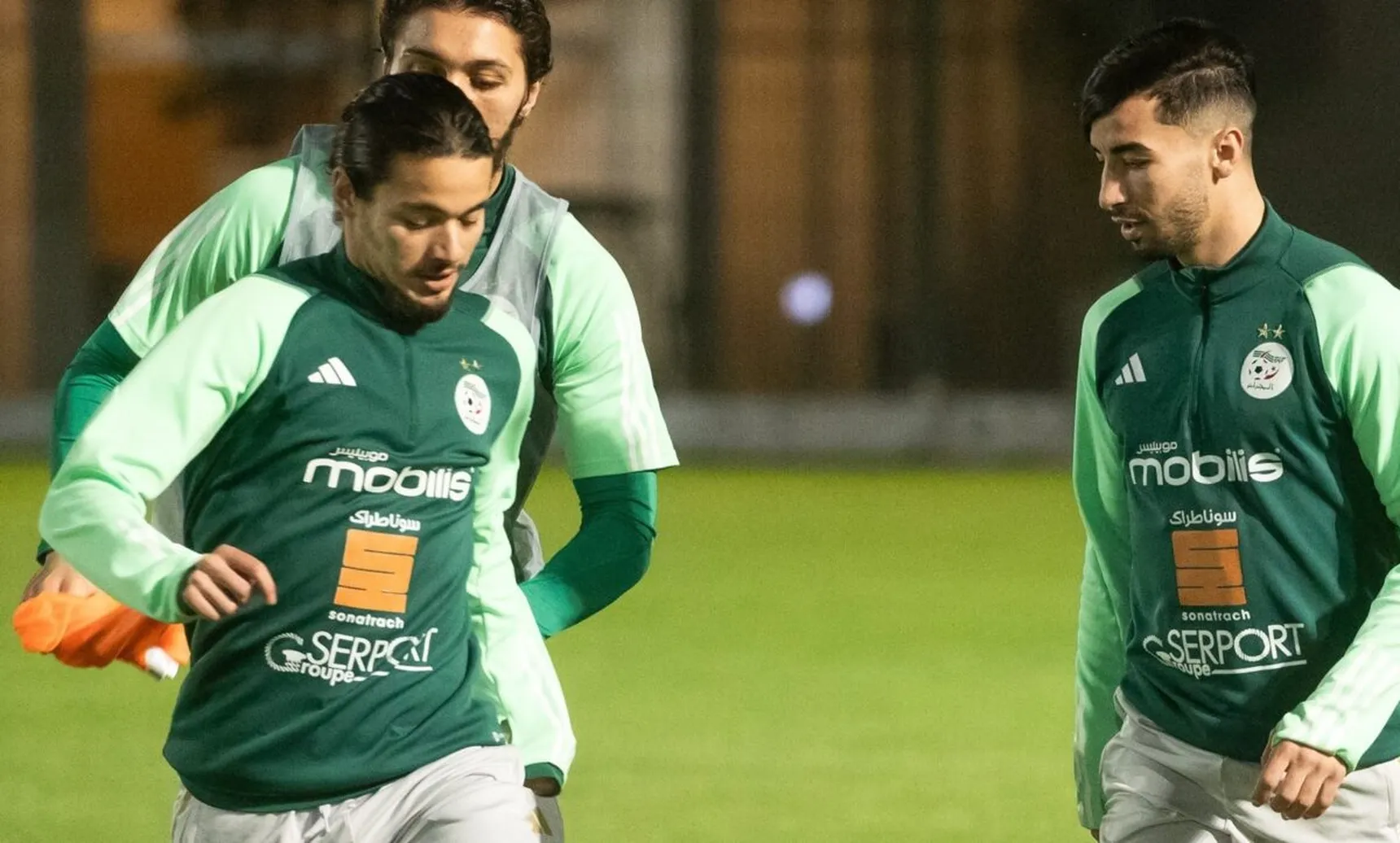 Alg&eacute;rie : le&nbsp;Feyenoord fait une offre pour un nouveau de Petkovic !