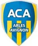 Arles-Avignon : Mamadou Niang a signé