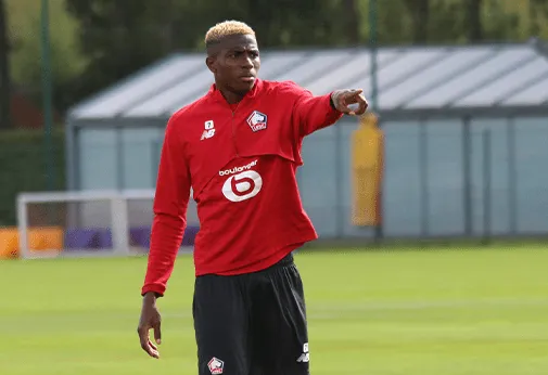 Mercato &ndash; Lille : Liverpool active la piste Osimhen !