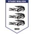 Stade Malien