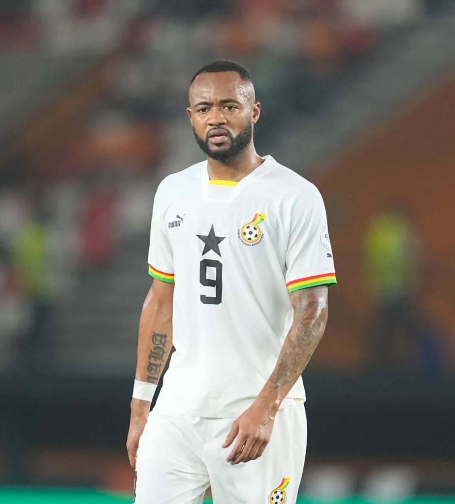 icon sipausa 50646115