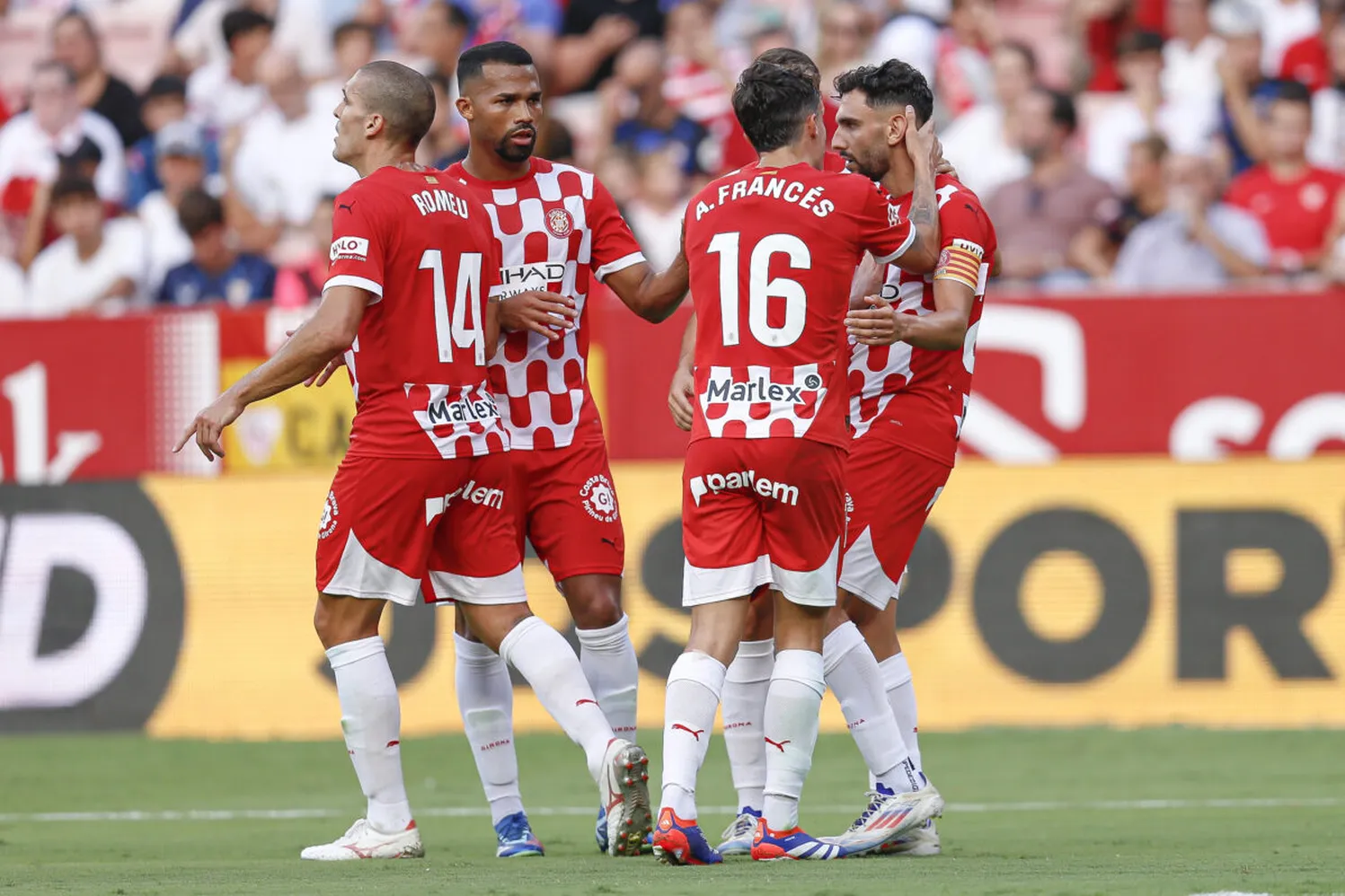 ICONSPORT 238303 0014