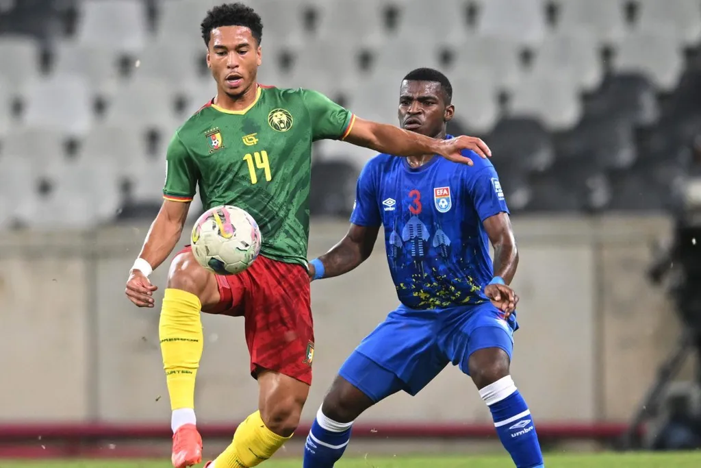 Danny Namaso, Cameroun