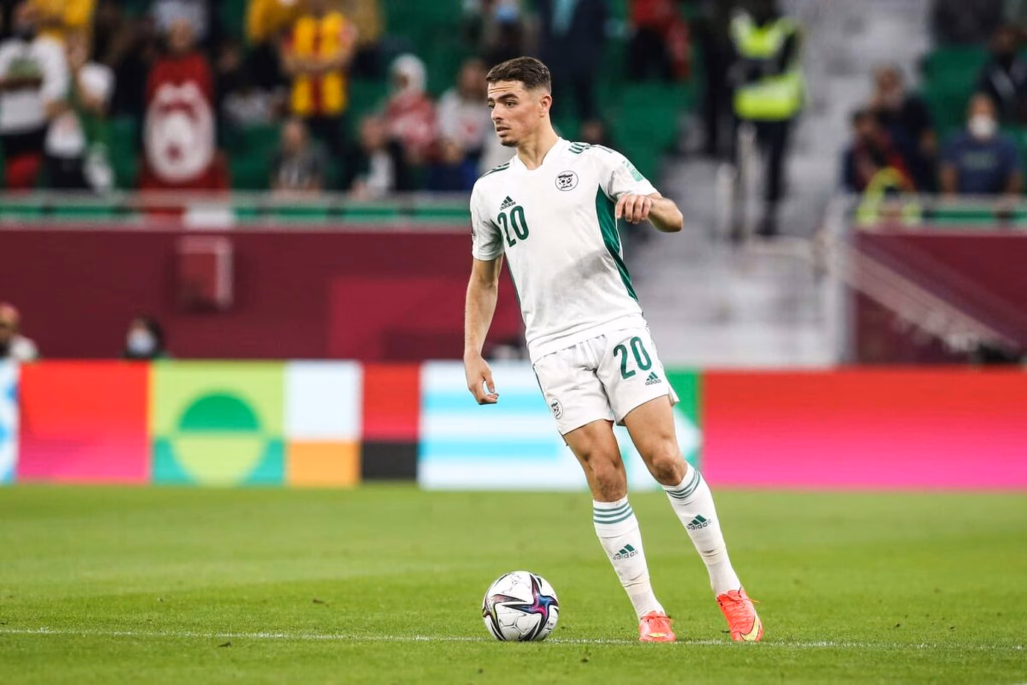 Alg&eacute;rie : 2 Fennecs r&eacute;silient au Maroc (officiel)