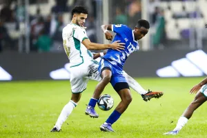 Algeria: "I think I deserve to go to the World Cup", a demoted player signals to Petkovic