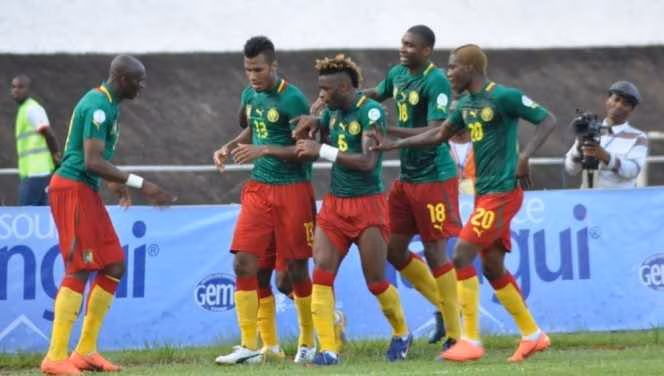 CM 2014 : la Tunisie d&eacute;bout&eacute;e, le Cameroun au Br&eacute;sil