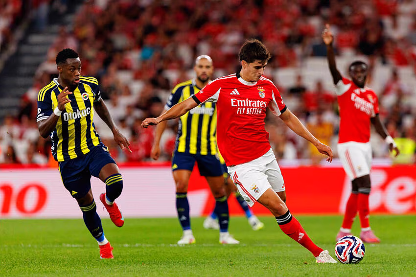 Benfica, Fenerbahce, match