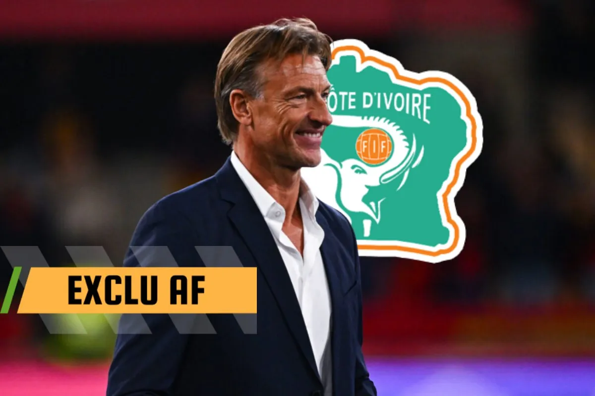 C&ocirc;te d&rsquo;Ivoire&nbsp;: les matchs de novembre bient&ocirc;t finalis&eacute;s, les El&eacute;phants vont retrouver Herv&eacute; Renard ! [Exclu]