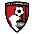 Bournemouth : R&eacute;&eacute;ducation &agrave; Saint-Etienne pour Gradel