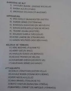 CAN 2019 : la liste de la Guinée contre la Centrafrique