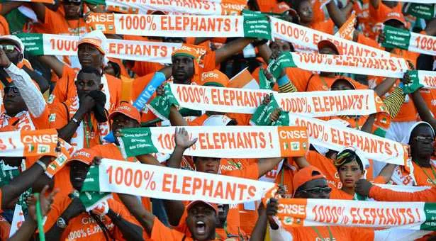 CM 2014 : mobilisation g&eacute;n&eacute;rale autour des El&eacute;phants