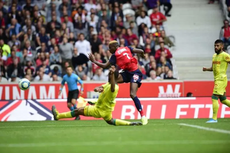 Lille : d&rsquo;un doubl&eacute;, Osimhen fait d&eacute;j&agrave; gagner le LOSC !