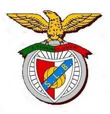 Benfica : Taarabt buteur apr&egrave;s 11 secondes !