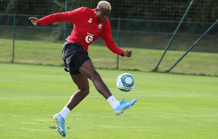 Lille&nbsp;: bonne nouvelle pour Osimhen