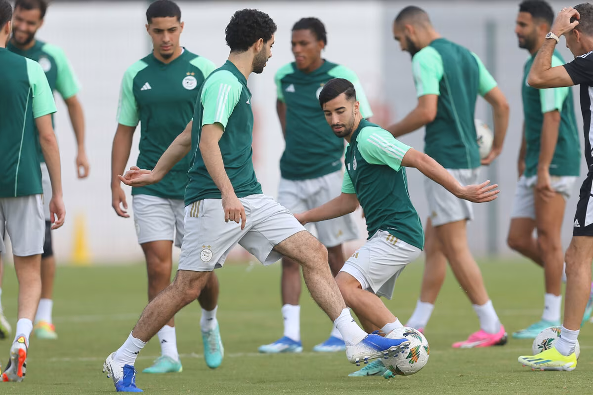 Alg&eacute;rie : Lille vise un autre Fennec&nbsp;!