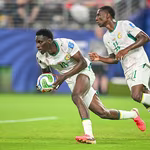 Fiorentina: Kabor&eacute; ou Mulumbu?