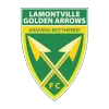 Golden Arrows