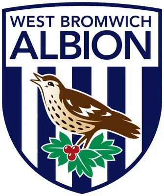 West Brom : Mulumbu sur le d&eacute;part