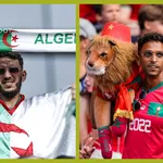 Mercato : Maza bient&ocirc;t associ&eacute; &agrave; un cadre du Maroc dans le milieu du Bayer Leverkusen ?