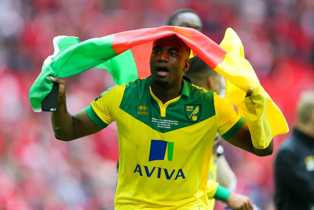 Sébastien Bassong, Norwich