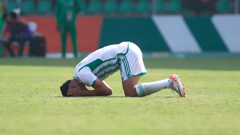 Alg&eacute;rie : &eacute;norme d&eacute;sillusion pour deux cadres historiques, laiss&eacute;s de c&ocirc;t&eacute; par Petkovic pour la Coupe du monde ?