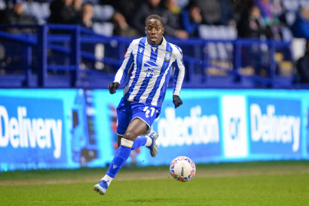 Djeidi Gassama, Sheffield Wednesday 