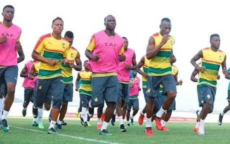 Cameroun : primes, les Lions en veulent plus