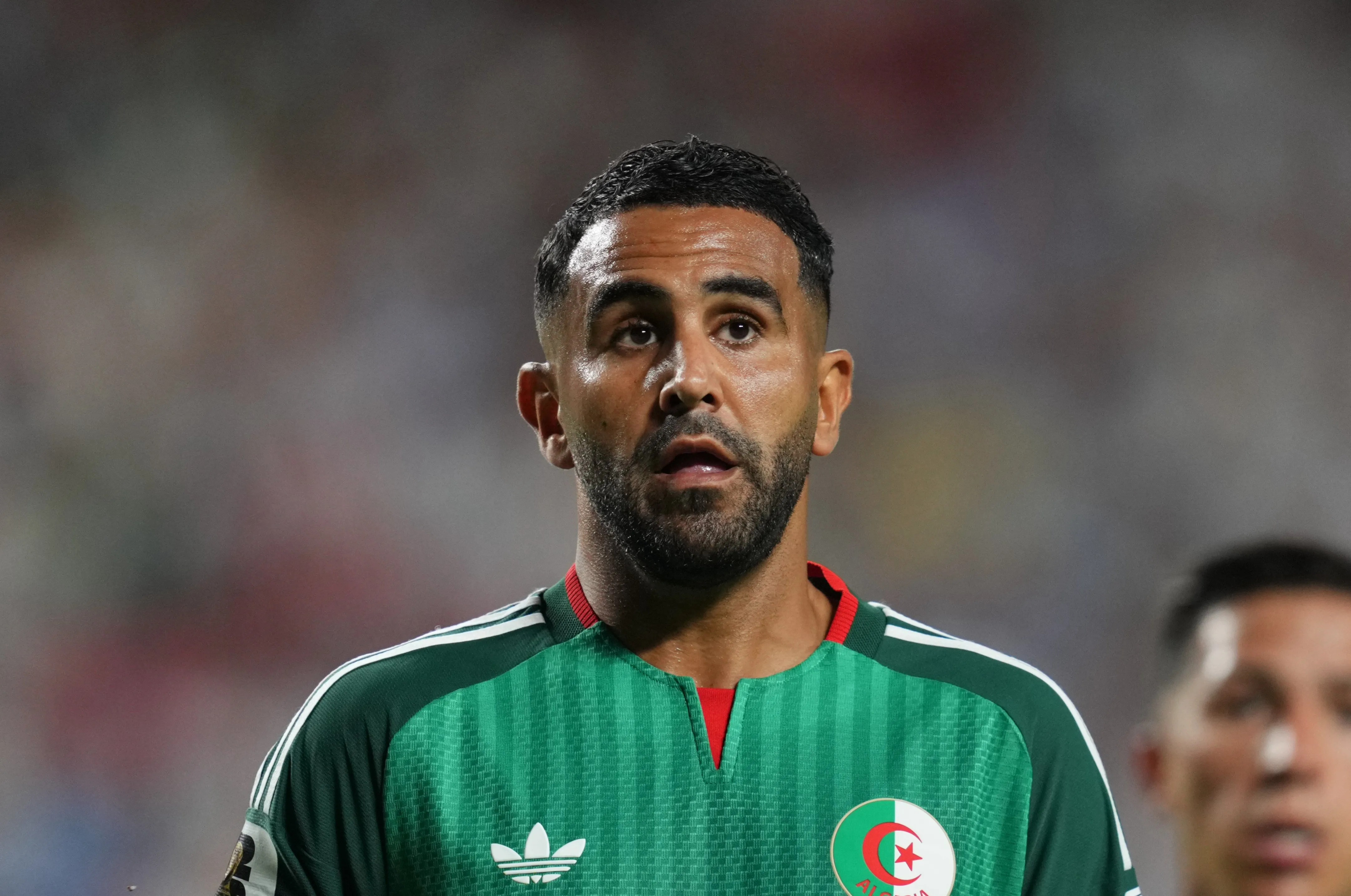 Coupe du monde 2026 : l&rsquo;Alg&eacute;rie et Petkovic d&eacute;j&agrave; en &eacute;tat d&rsquo;alerte apr&egrave;s le fiasco contre l&rsquo;Argentine