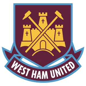 West Ham : 14 millions d’euros pour Bony ?